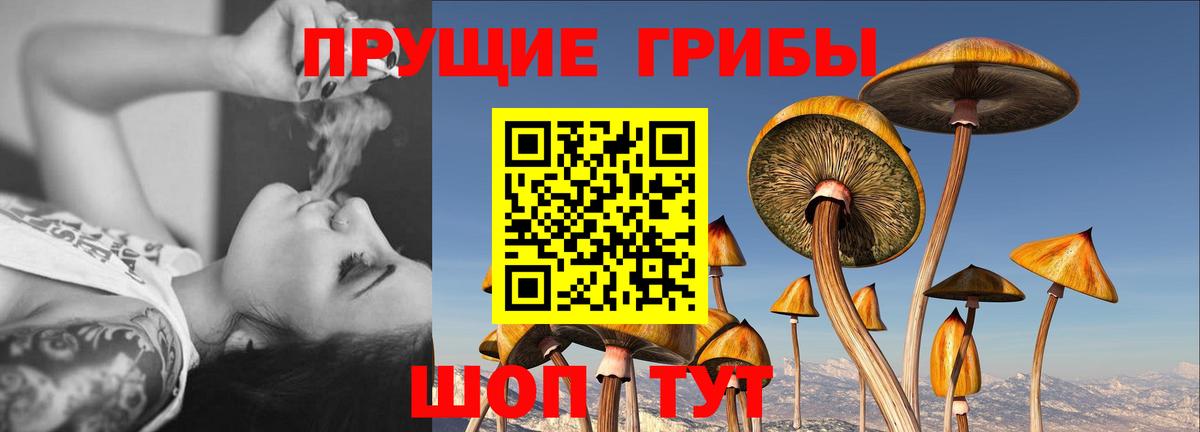 Псилоцибиновые грибы Magic Shrooms  Вход с VPN  Сухой Лог 